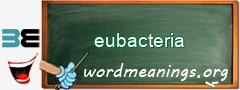 WordMeaning blackboard for eubacteria